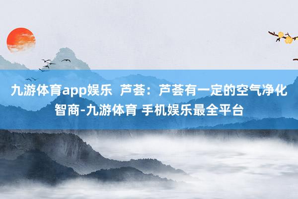 九游体育app娱乐  芦荟：芦荟有一定的空气净化智商-九游体育 手机娱乐最全平台