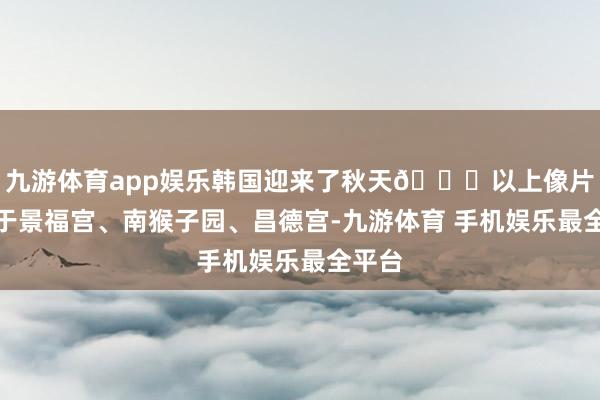 九游体育app娱乐韩国迎来了秋天🍂以上像片拍摄于景福宫、南猴子园、昌德宫-九游体育 手机娱乐最全平台